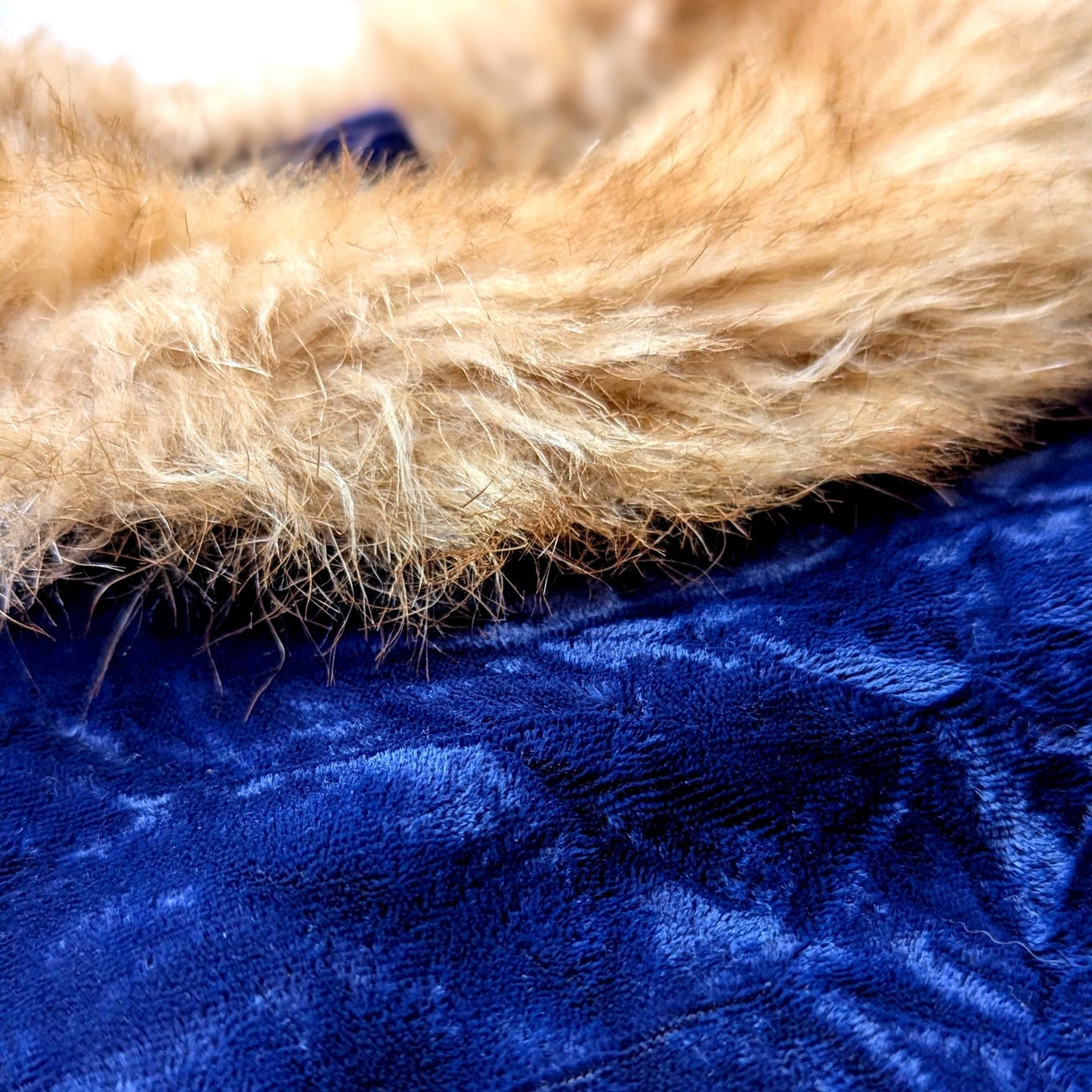 Janie and Jack Girls Blue Velvet Faux Fur Collar Bow Sleeves Dress Sz 4
